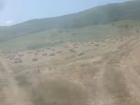 Baloți de earba — الصورة 2