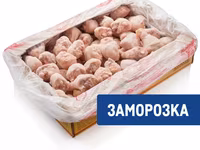 Кура — 1-сурет