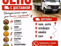 3 укос таза беде сатылат метровый плотный таза — Foto 3