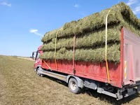 Кастра Кастра Сено в тюках (луговое/разнотравье) - Заготовка текущего — Foto 1
