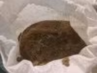 Мука мясокостная бройлерная — Foto 3
