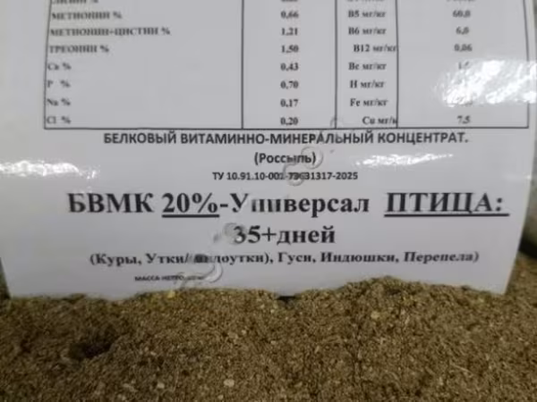 БВМК Поросята