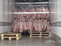 Баранина субпродукты — Foto 4