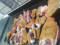 КОЙ УЙ ЖЫЛКЫ СОЙОБУЗ — Foto 2