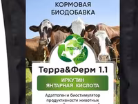 Новый адаптоген и биостимулятор продуктивности животных ТерраФерм 1.1. — 3-сурет