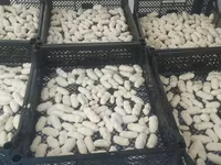Натуральные молочные продукты сузма творог каймак айран домашний козье — foto 2