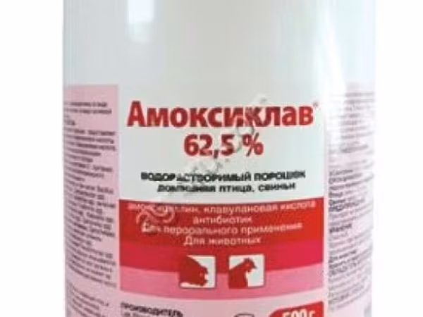 Амоксиклав 62,5% / Амоксициллина тригидрат и клавулановая кислота.