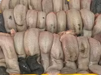 Баранина, конина субпродукты куплю на постоянной основе. Viber WhatsApp Telegram. — Foto 5