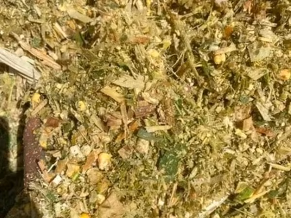 Кукурузный силос/сенаж Описание: - Кормовая масса из измельчённой