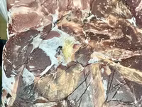 Полутуши коровы — Foto 2