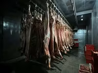 Говяжий окорок - тазобедренная часть в.с — foto 3
