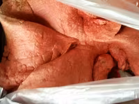 Субпродукты говяжьи — Foto 3