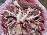 公羊, Sheep — 照片 7