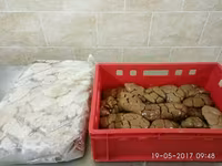 Почки говяжьи — фото 1