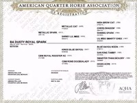 Бие, Quarter Horse — 4-сурет