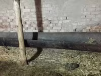 Oxir mollarga va — Foto 1