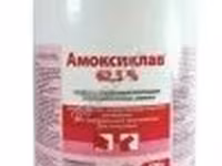 Амоксиклав 62,5% / Амоксициллина тригидрат и клавулановая кислота. — 2-сурет