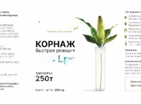Силосная закваска сухая Бионер — Foto 3