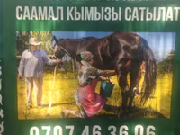 Кымыз из Кочкорского района - Натуральный саамал кымыз с высокогорных — Foto 4