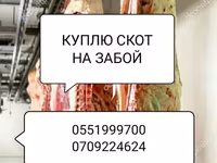 Туша, Самовывоз — 3-сурет