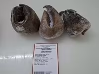 Субпродукты, полутушки — photo 3