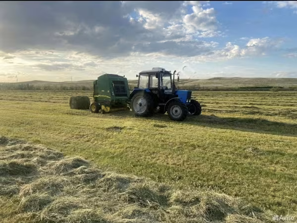Сено разнотравье