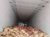 СВИНИНА ОПТОМ В ПОЛУТУШАХ Ассортимент: - Полутуши и фасованное — फ़ोटो 5