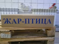 Филе куриных окорочков оптом — 4-сурет