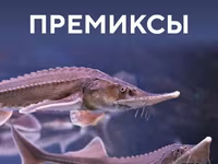 Премиксы для рыбных кормов — 4-сурет