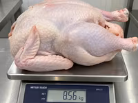 Turkeys — 3-сурет