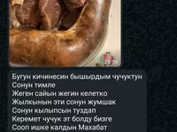 Чучук, карын карта, казы, эт, куйрук, жилик, говядина, баранина — الصورة 5