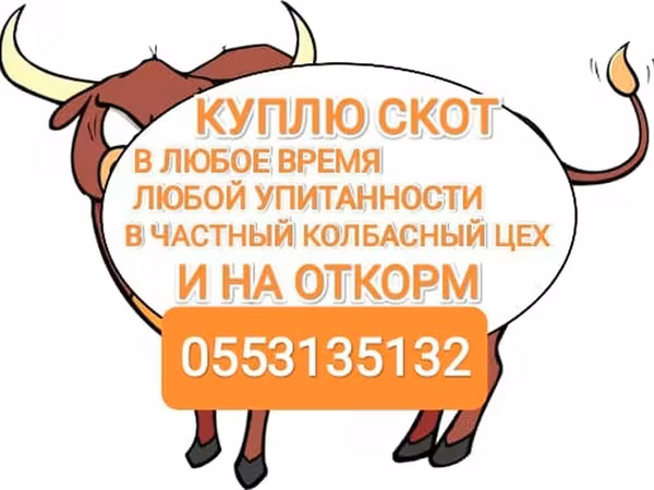 Бұқа, Ірі қара