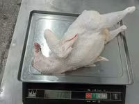 Тушка кур 2 сорт зам сибагро — 1-сурет