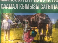 Кымыз из Кочкорского района - Натуральный саамал кымыз с высокогорных — Foto 2
