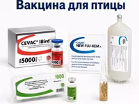 Вакцины для сельскохозяйственной птицы — фото 1