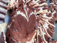 كبش, Rhon sheep — الصورة 5