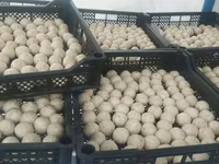 Натуральные молочные продукты сузма творог каймак айран домашний козье — foto 1