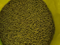 Vindem mincare pentru sinsila granule de 2.5mm produs in Ungaria 16lei(chinchila,sinsila,шиншила) — 2-сурет