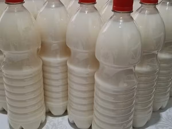 Ат Башынын таза кымызы сатылат, 1 литр 200 сомдон