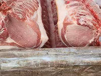 СВИНИНА ОПТОМ В ПОЛУТУШАХ - Прямая поставка свежей продукции. - — फ़ोटो 5