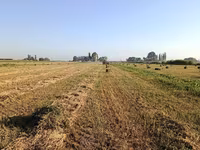 Пресстелген Беде Люцерна сатылат подпокровный арпасын чопко чааб — Foto 1