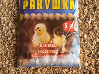 Ракушка морская кормовая — Foto 1