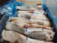 Язык говяжий аргентина offal  4407 — Foto 4