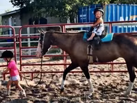 Бие, American paint horse — 8-сурет
