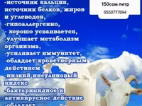 Предлагается к продаже свежее козье молоко. Продукт характеризуется — фото 1