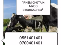 Туша, Самовывоз — 2-сурет