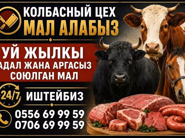 Бұқа, Ірі қара