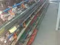 Chickens — photo 3