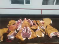КОЙ УЙ ЖЫЛКЫ СОЙОБУЗ — Foto 1