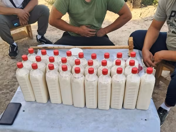Кымыз, саамал, В розницу, Платная доставка, Самовывоз, Бесплатная доставка